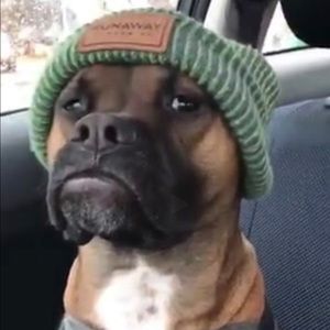 Meet your Posher, Mario